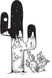 7CactusT - CanvassLabel